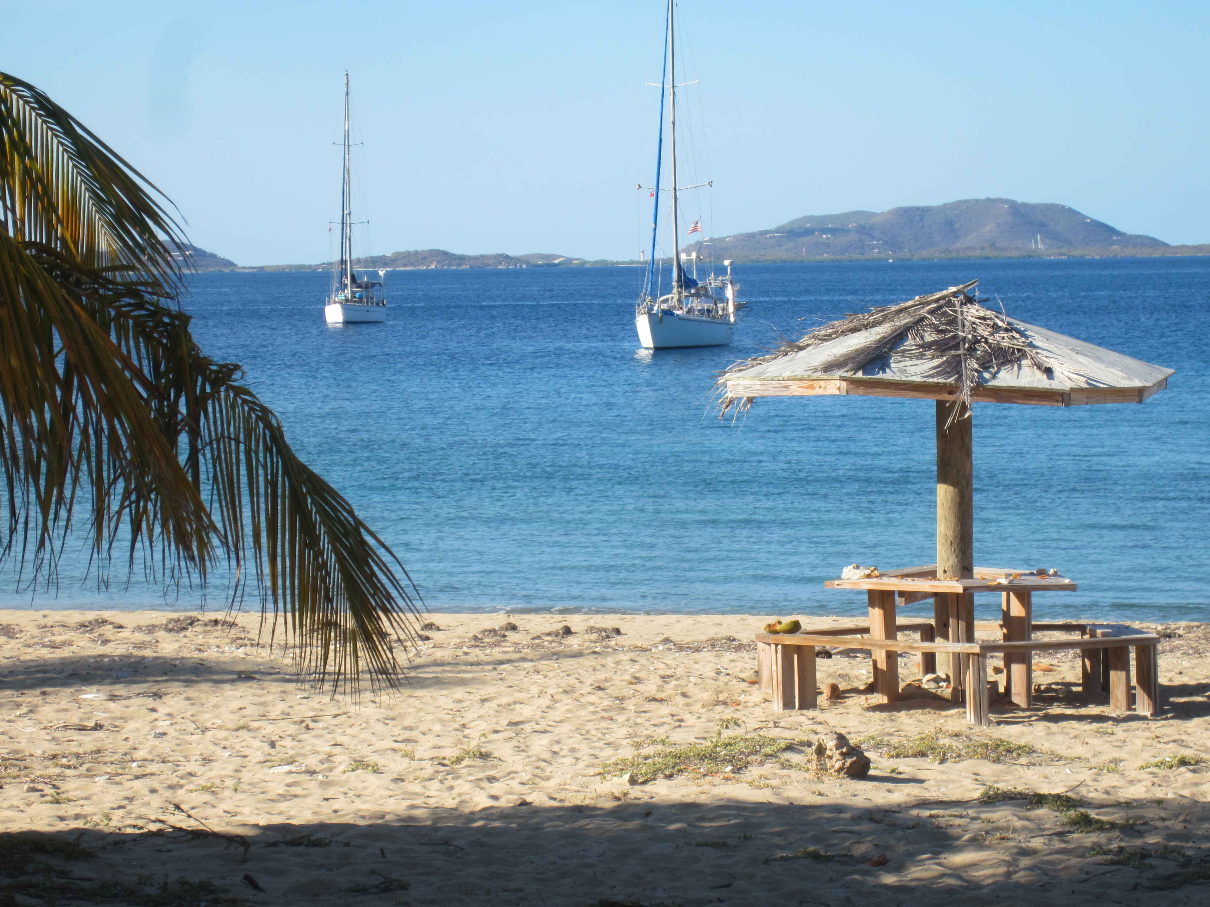 Malua in the Caribbean