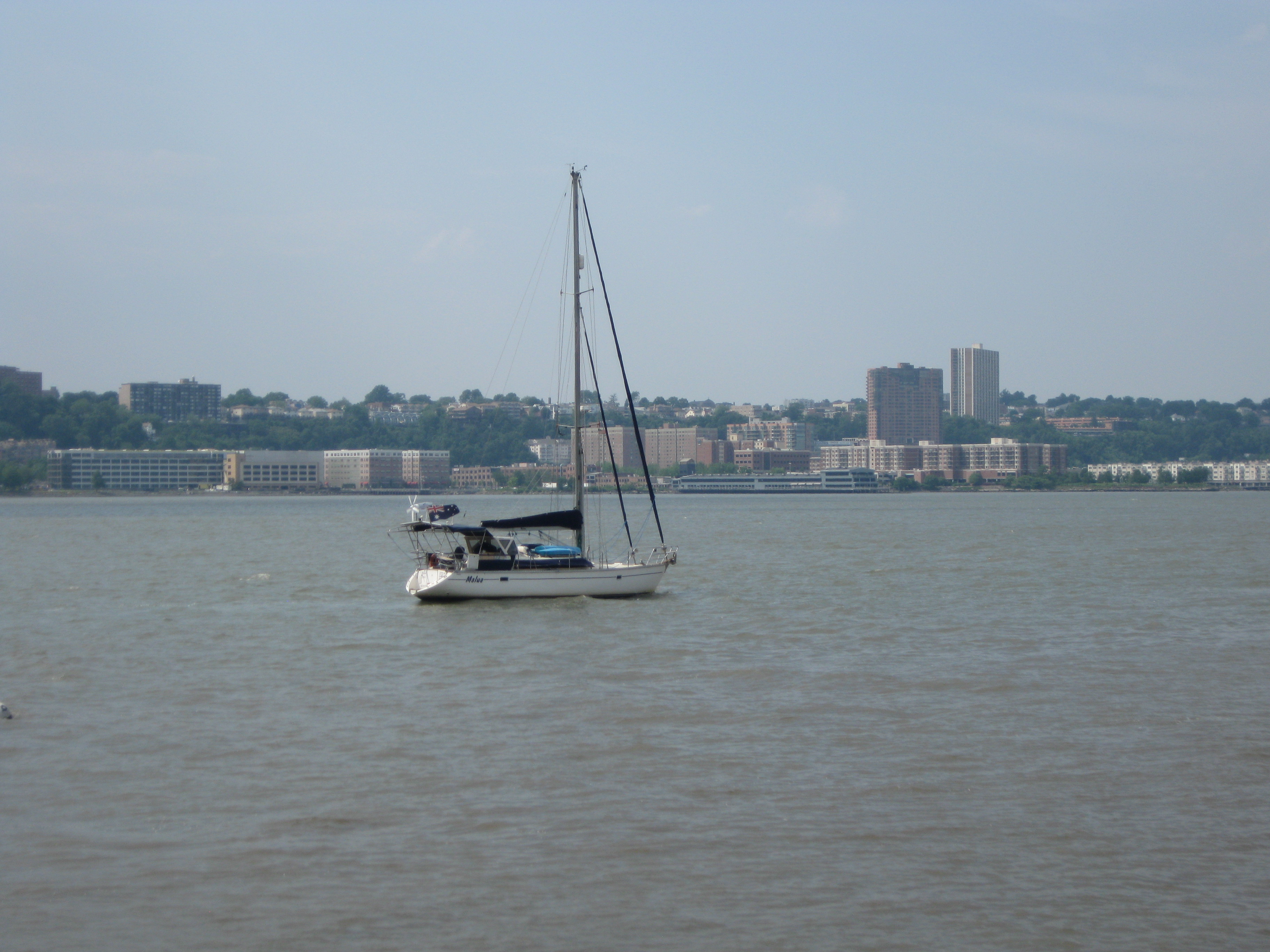Malua in Manhattan