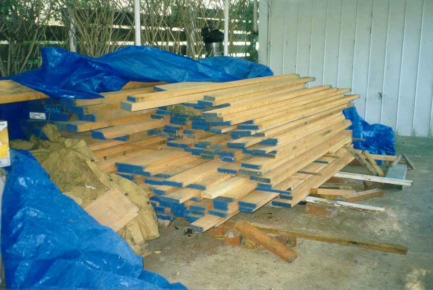 timber chilian myrtle