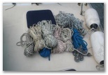 Shipping Malua to Europe — original photograph