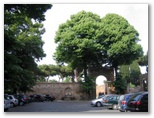 Rome — original photograph