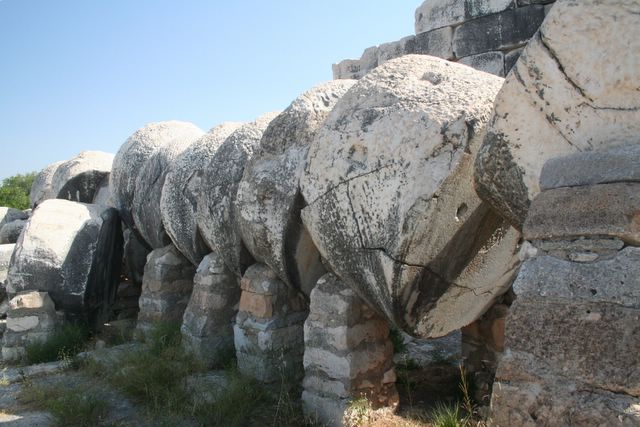 Iassus, Didyma and Priene — original photograph